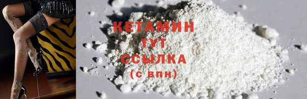 прущий лед Бородино