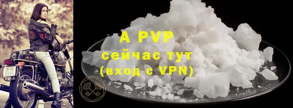прущий лед Бородино