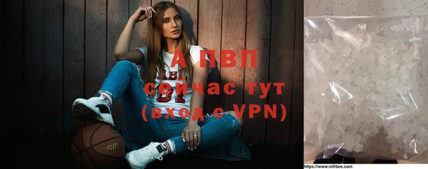 гидра Бронницы