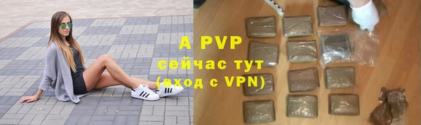 прущий лед Бородино