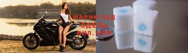 гидра Бронницы