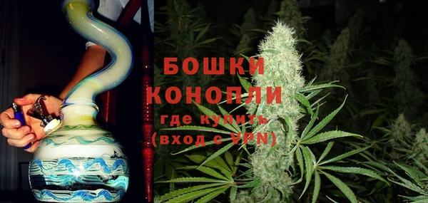 гидра Бронницы