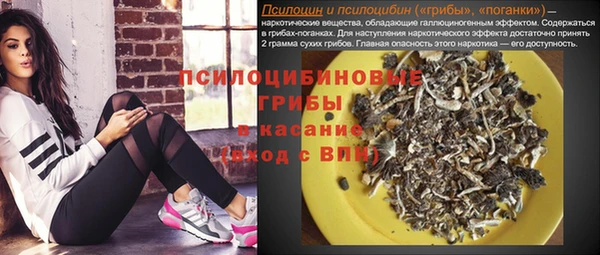 прущий лед Бородино