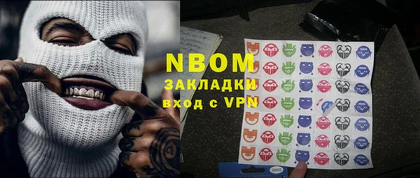 прущий лед Бородино