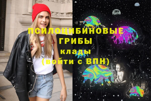 гидра Бронницы