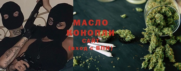 прущий лед Бородино