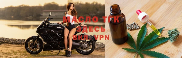 гидра Бронницы