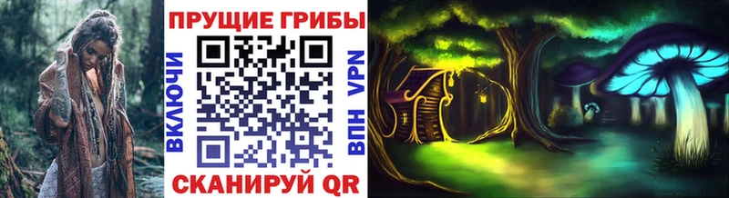 Купить  Воркута  Псилоцибиновые грибы MAGIC MUSHROOMS 